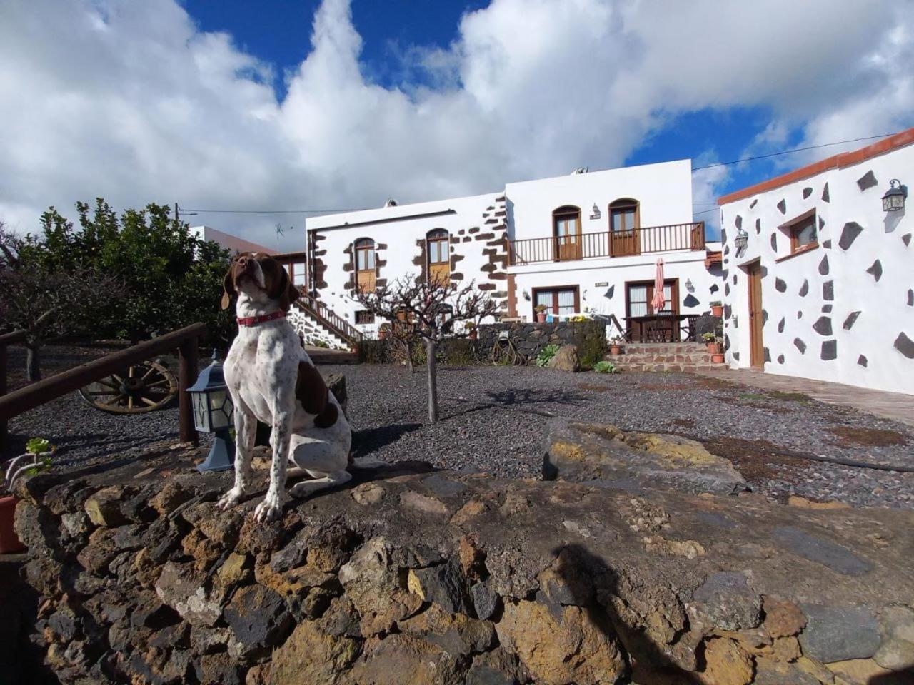 Las Casas Del Abuelito Julian & La Abuela Leonor Isora エクステリア 写真